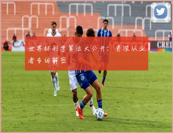 世界杯彩票算法大公开：资深从业者专访解密